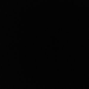 Meet your Posher, Tamara